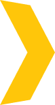 Vector
